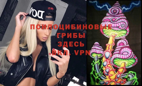МДМА Козловка