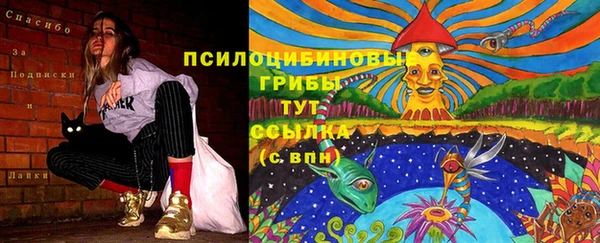 прущие крисы Киренск
