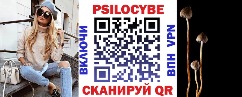 Псилоцибиновые грибы GOLDEN TEACHER Купить закладки Верея